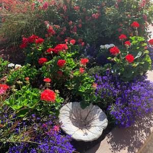 Meet your Posher, Lynne